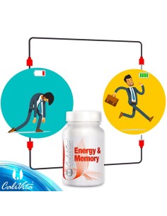 Energy and Memory - pentru o memorie mai buna