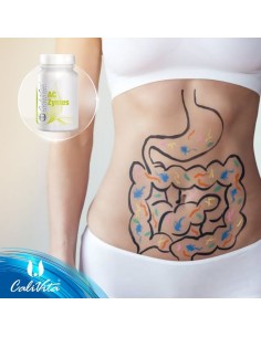 Ac-zymes - probiotic pentru flora intestinala
