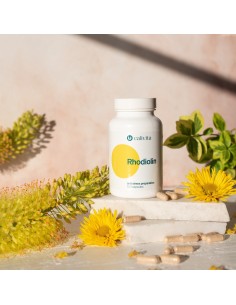 Rhodiolin combate stresul si protejeaza sistemul imunitar